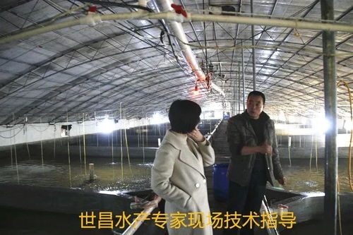 以先進(jìn)典型引領(lǐng)高效漁業(yè)發(fā)展——世昌股份大力培育特種水產(chǎn)養(yǎng)殖示范戶的實踐與探索
